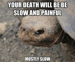 Mostly slow.